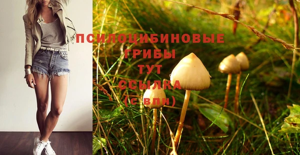 apvp Абинск