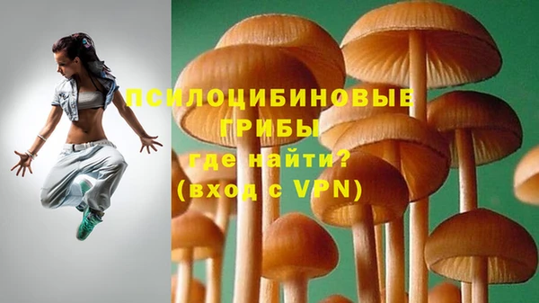 ECSTASY Абаза